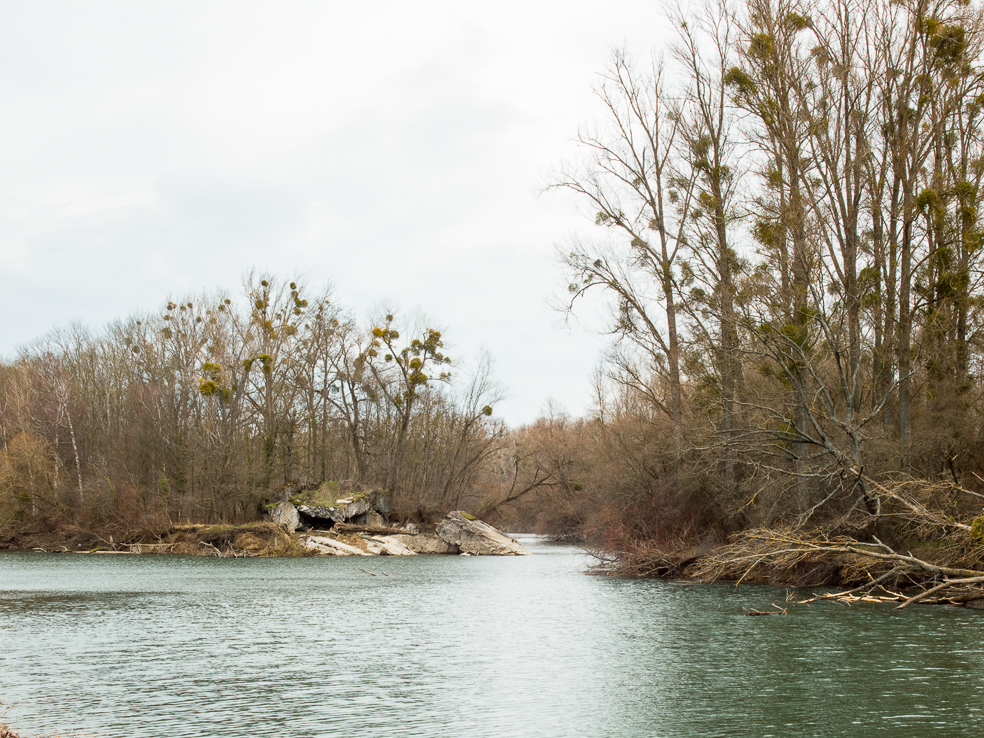 Bunkertrümmer-Westwall